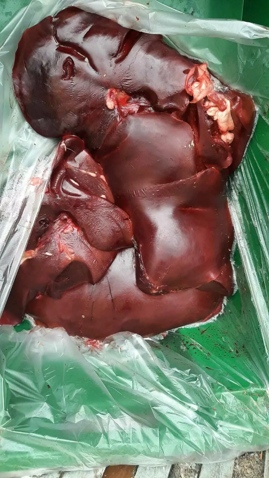 фотография продукта Рубец говяжий