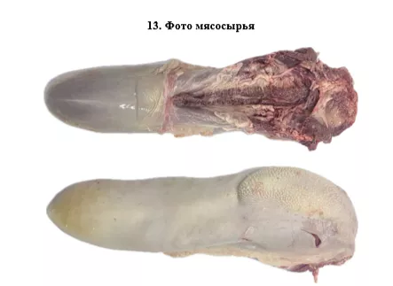 язык говяжий в инд. упаковке