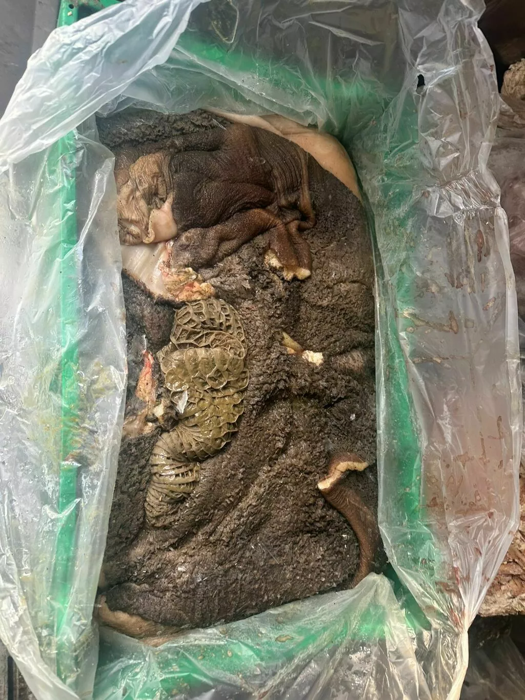 Фотография продукта Рубец зеленый говяжий