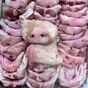 пятаки свиные со стаканом. в Санкт-Петербурге 2