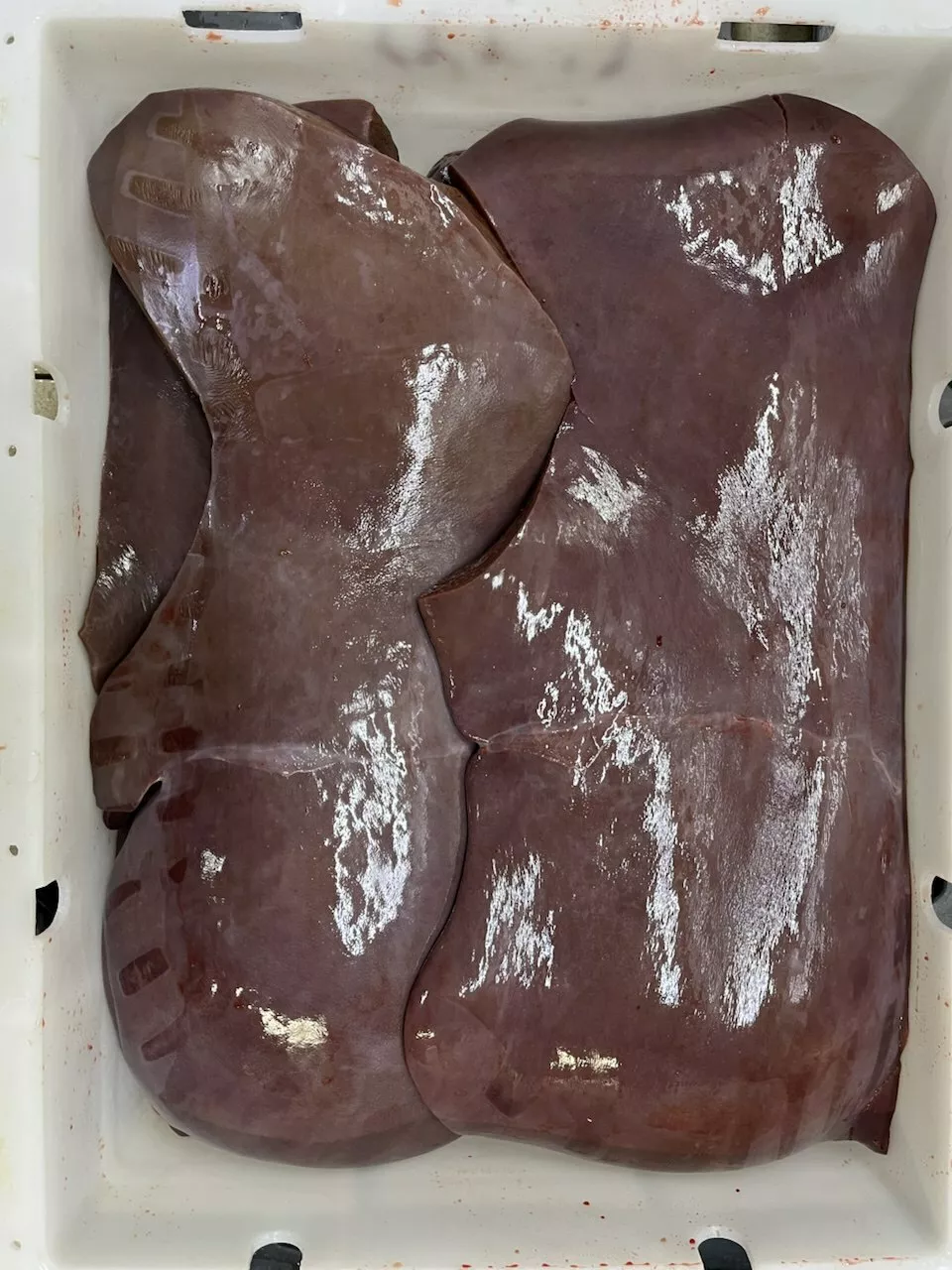 Фотография продукта Печень говяжья 