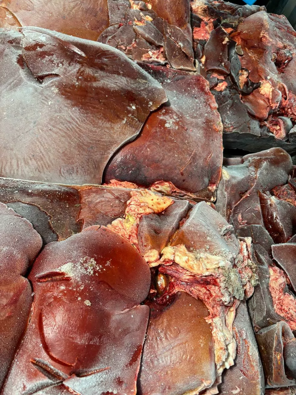 Фотография продукта Жилка мягкая говяжья.