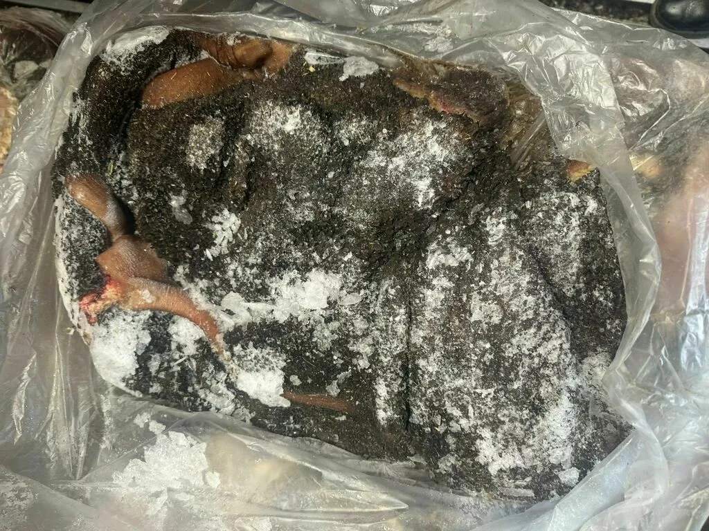 Фотография продукта Рубец зеленый говяжий