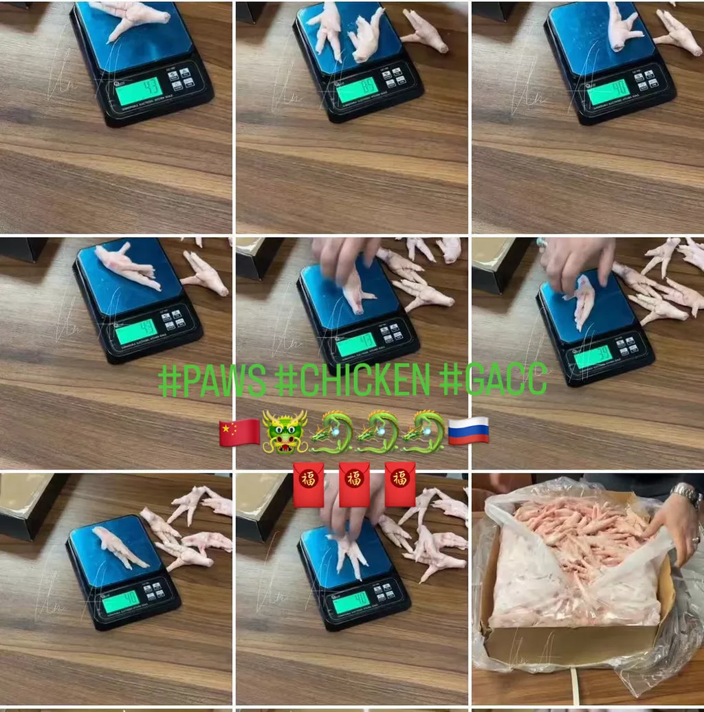 鳳爪  feng zhao _ frozen chicken paws  в Португалии 3