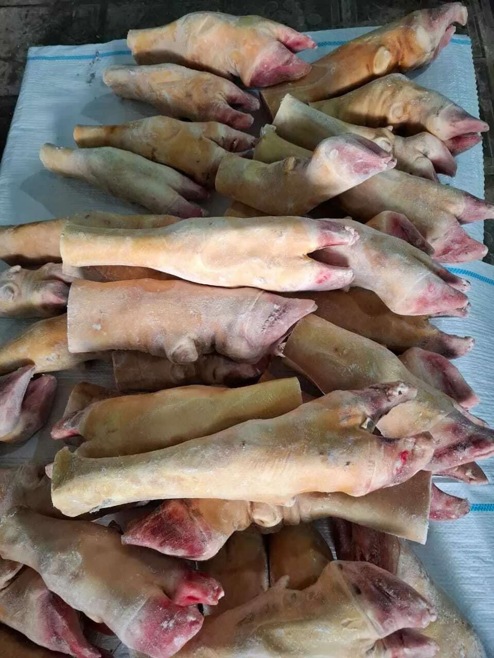Фотография продукта Продаем свежие говяжьи ноги пищевые