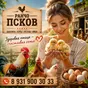 цыплята,куры,петухи,яйцо инкубационное в Пскове и Псковской области