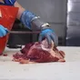 услуги по первичной переработке говядины в Домодедово 10