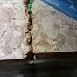 желудок свиной зам.  в Саратове и Саратовской области 2
