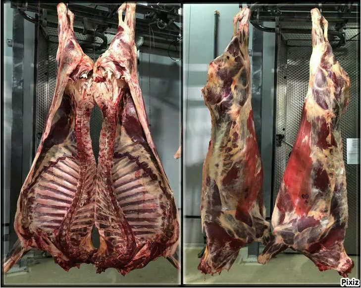 Фотография продукта Говядина в четвертинах (выбраковка)  