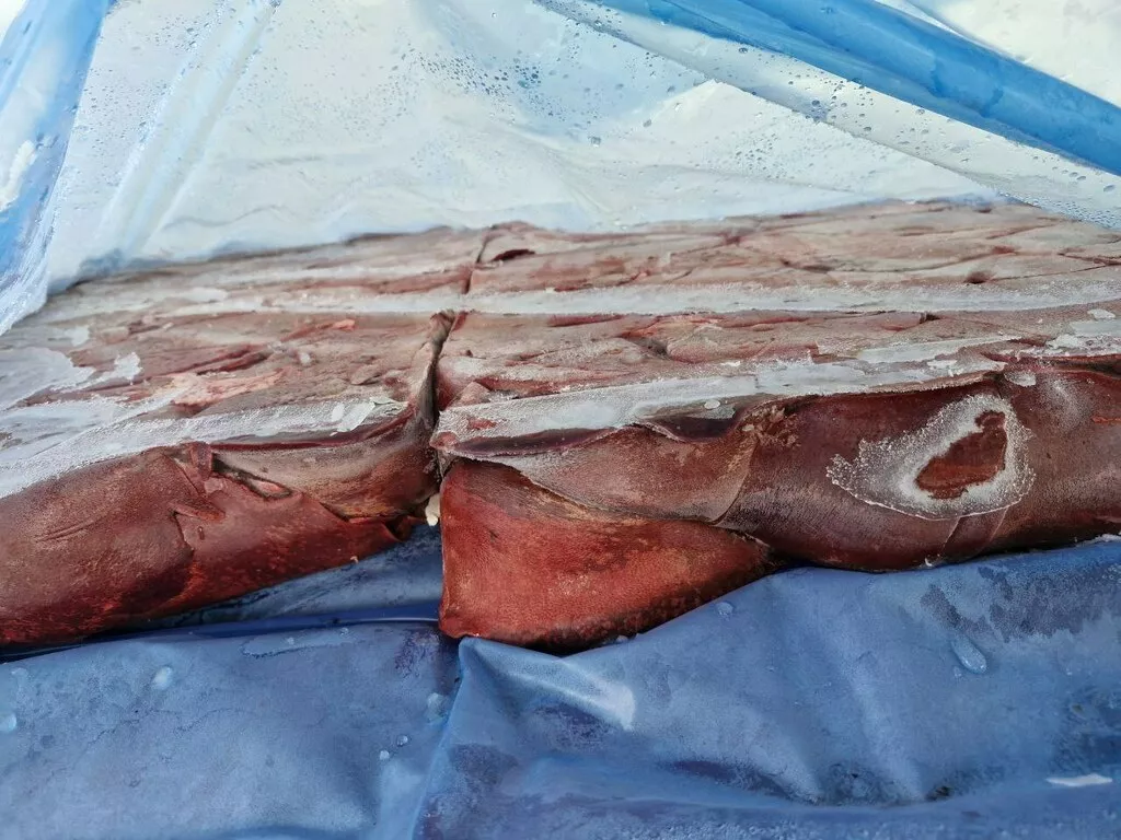 Фотография продукта Печень свиная, зам