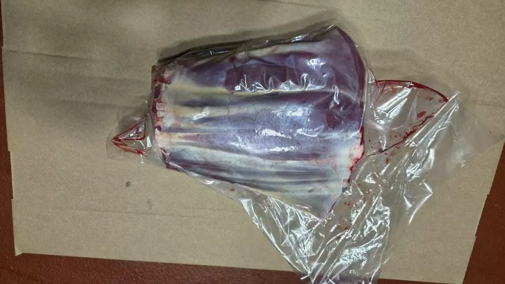 Фотография продукта Голяшка  ассотри 