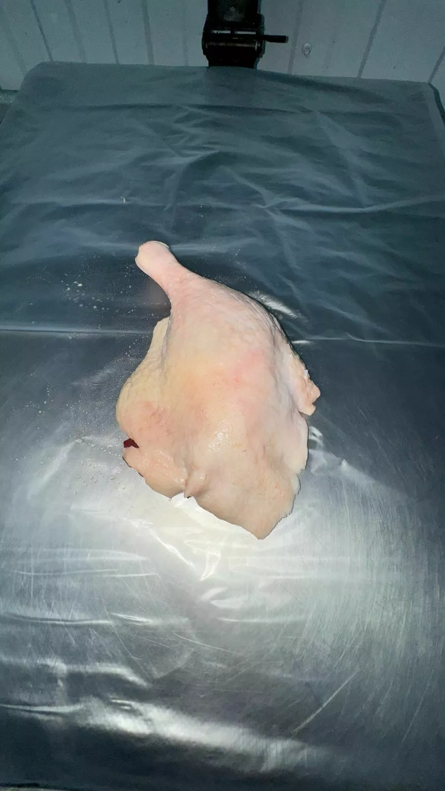 фотография продукта Окорочка утиные на кости без хребта