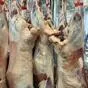 мясо баранины, молодняк.  в Абакане и Хакасии 3