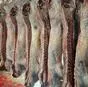 мраморная говядина ,туши (с ндс) в Пензе и Пензенской области 6