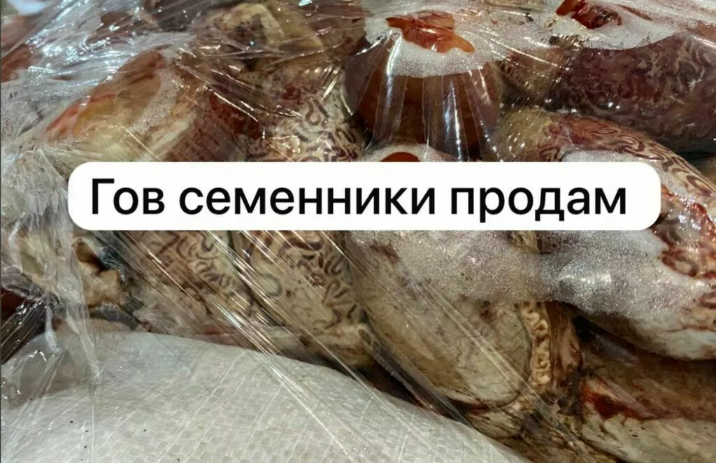 фотография продукта Семенники КРС 