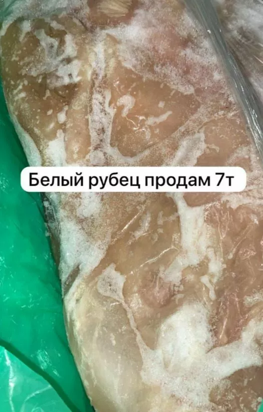 фотография продукта Рубец говяжий белый уценка
