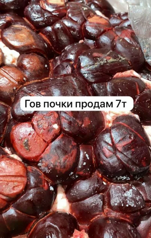 фотография продукта Почки КРС пищевые 