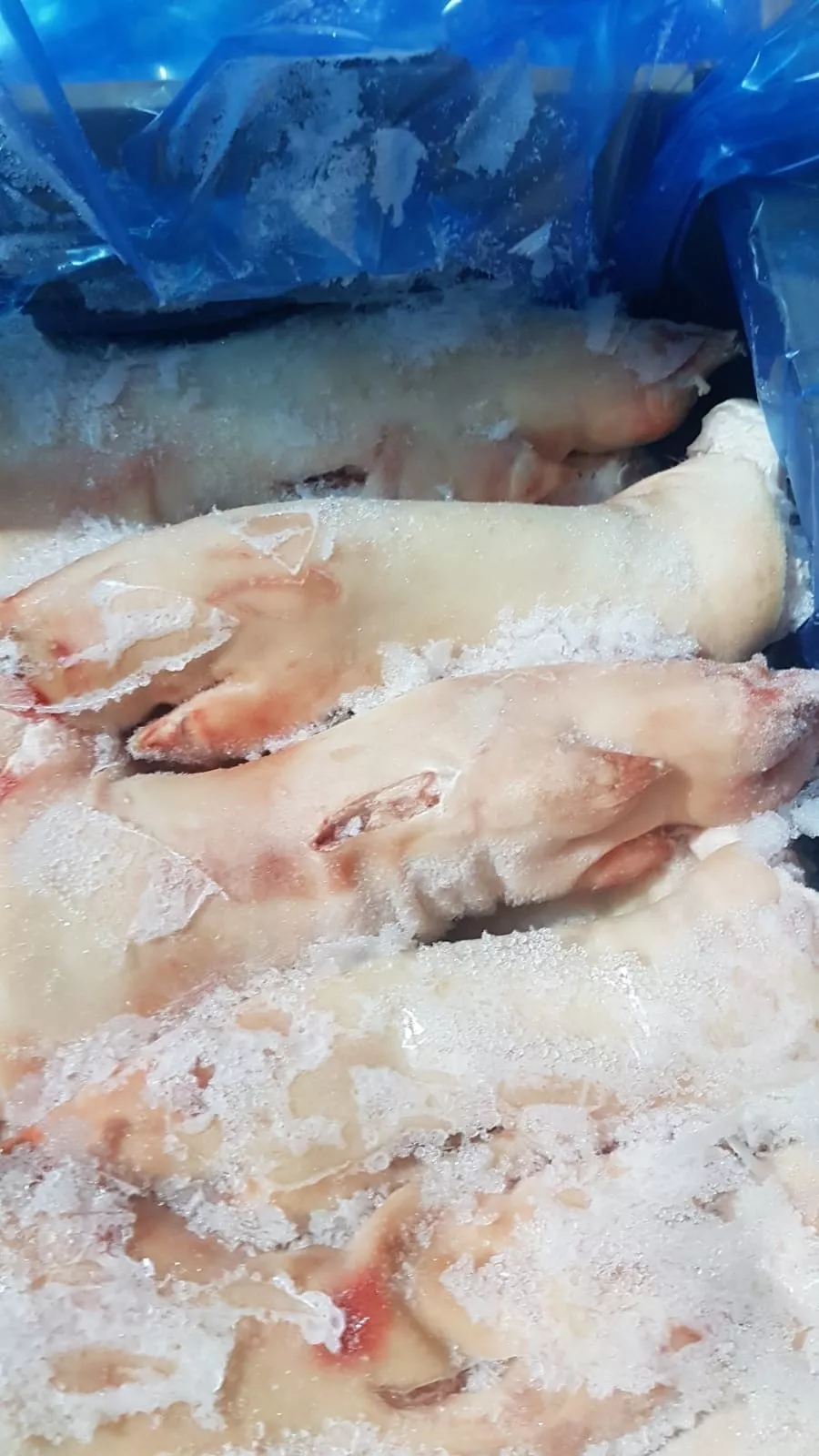 Фотография продукта Ноги свиные задние