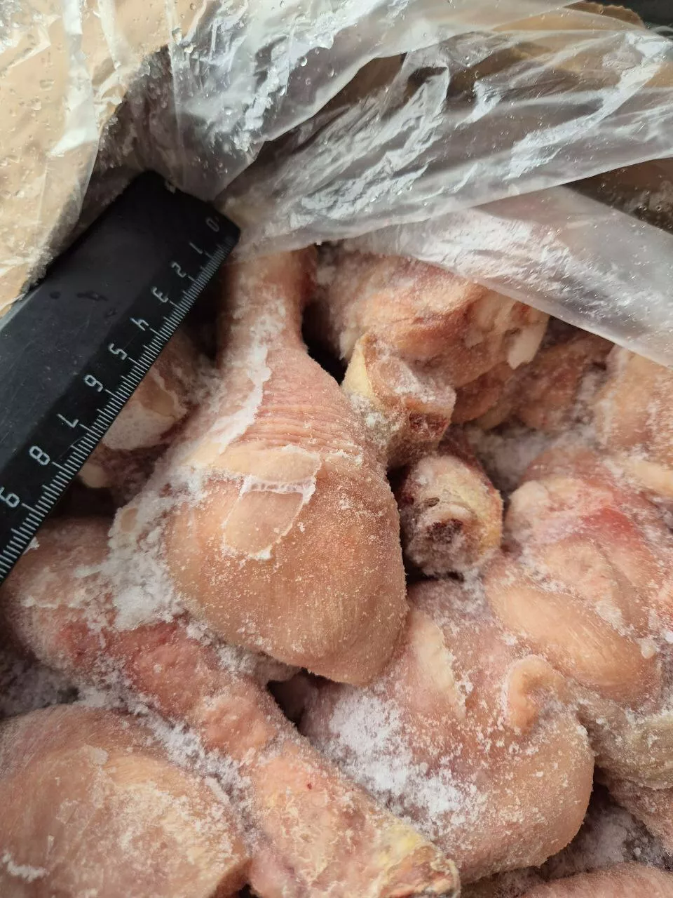 голень куриная кнр в Новороссийске