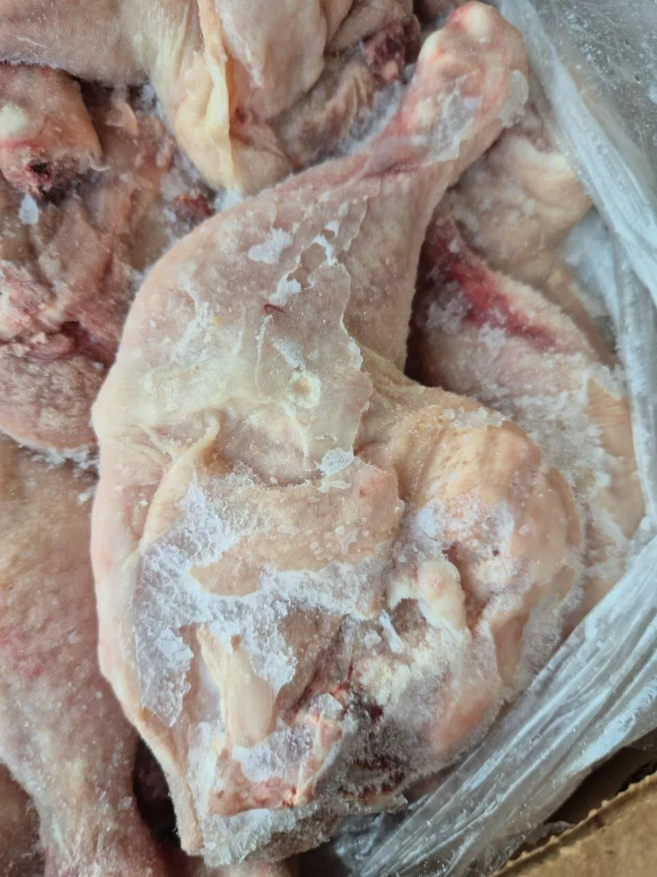 окорочка куриные кнр в Новороссийске 3