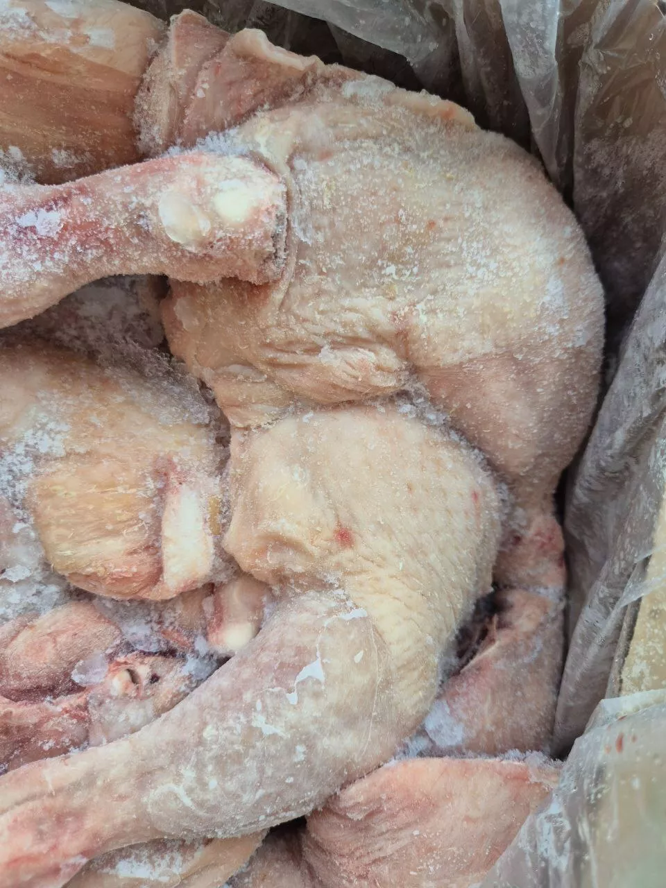 окорочка куриные кнр в Новороссийске 2