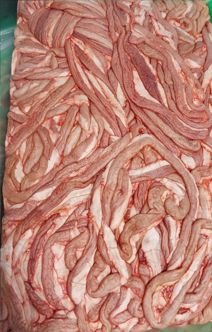 Фотография продукта Кишки св 