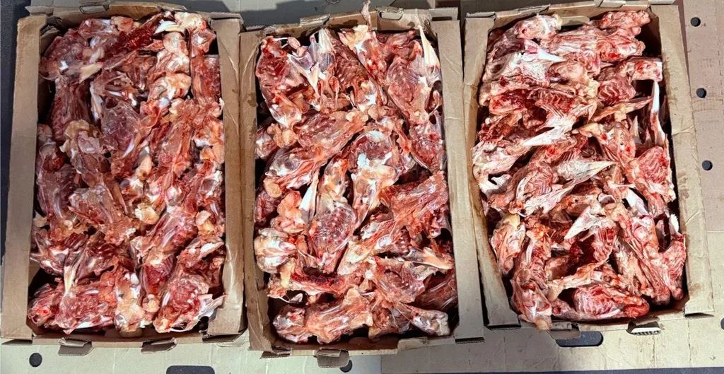 каркас куриный ЦБ в Ставрополе 4