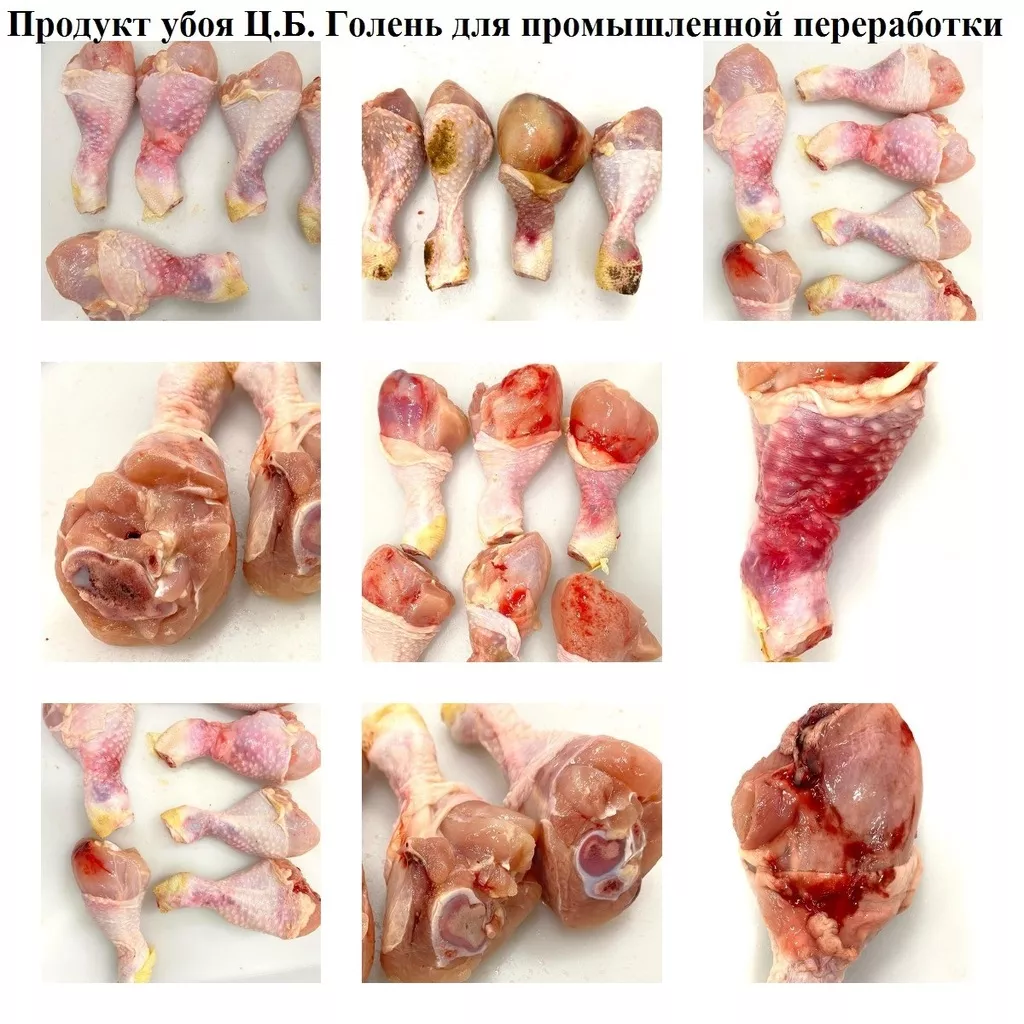 Фотография продукта Голень,бедро,окорочка,филе-промка