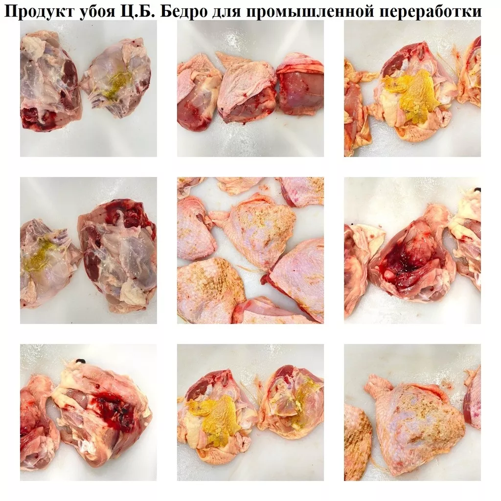 Фотография продукта Промка-бедро,голень,тушка,окорочка