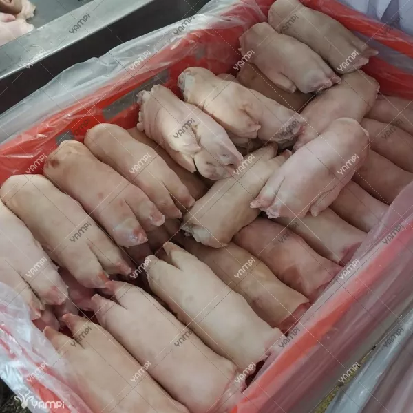 Фотография продукта Предлогаю свиные ноги