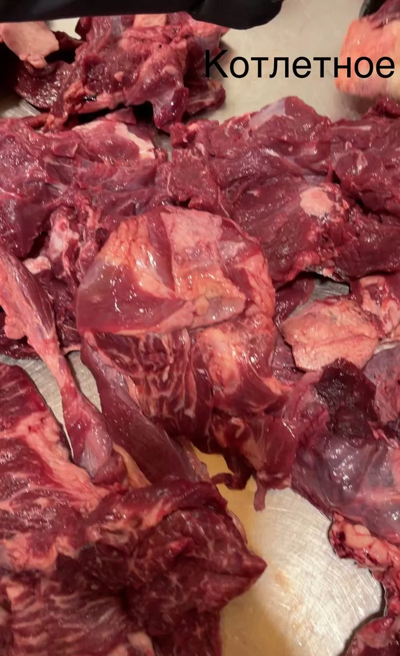 фотография продукта Котлетное мясо РБ