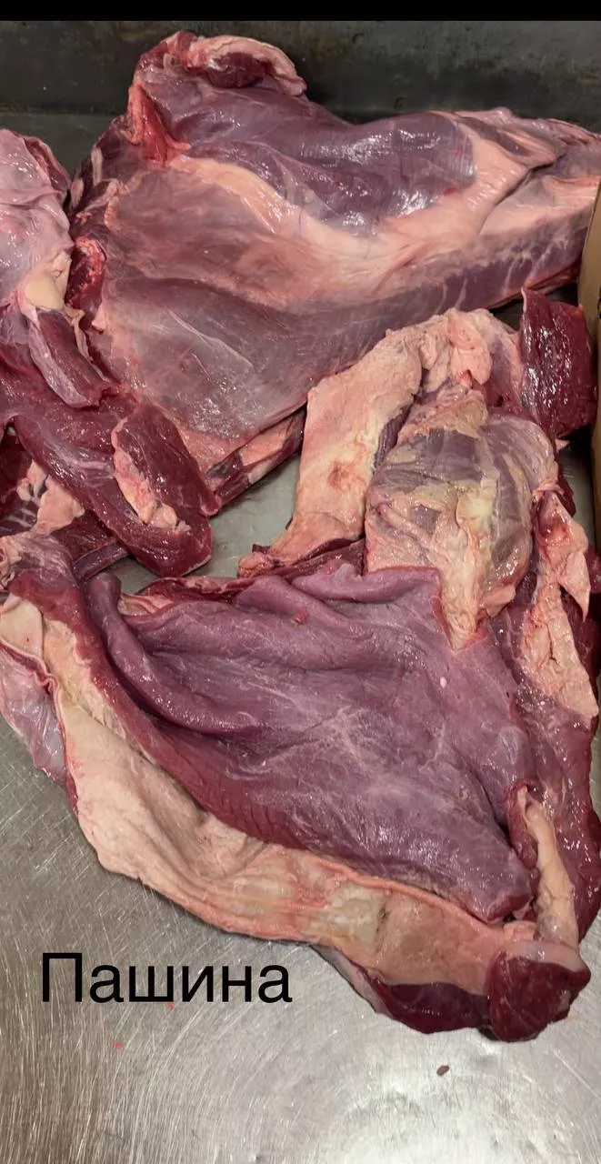 фотография продукта Пашина говяжья охлажденная 