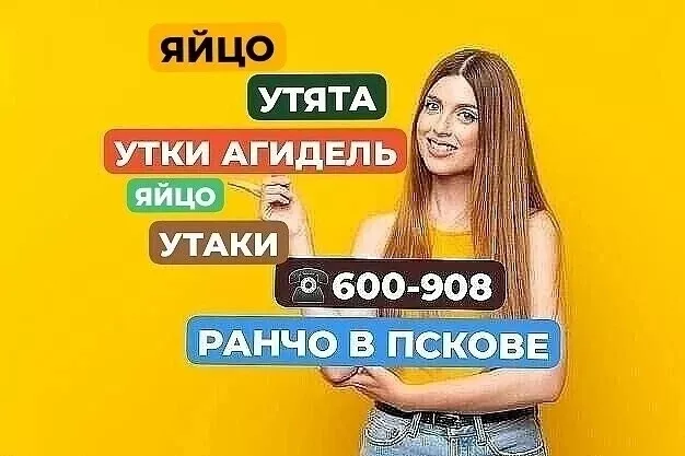 Фотография продукта Утки агидель. утята. яйцо