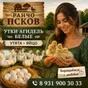 утки агидель. утята. яйцо инкубационное в Пскове и Псковской области