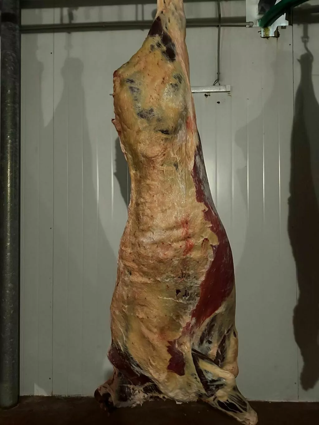 Фотография продукта Говядина в полутушах