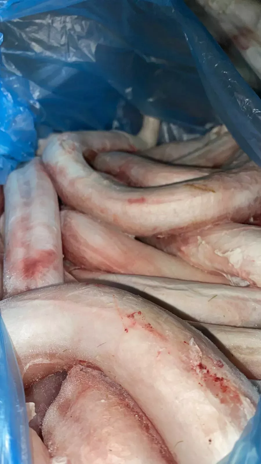 Фотография продукта Бычий корень