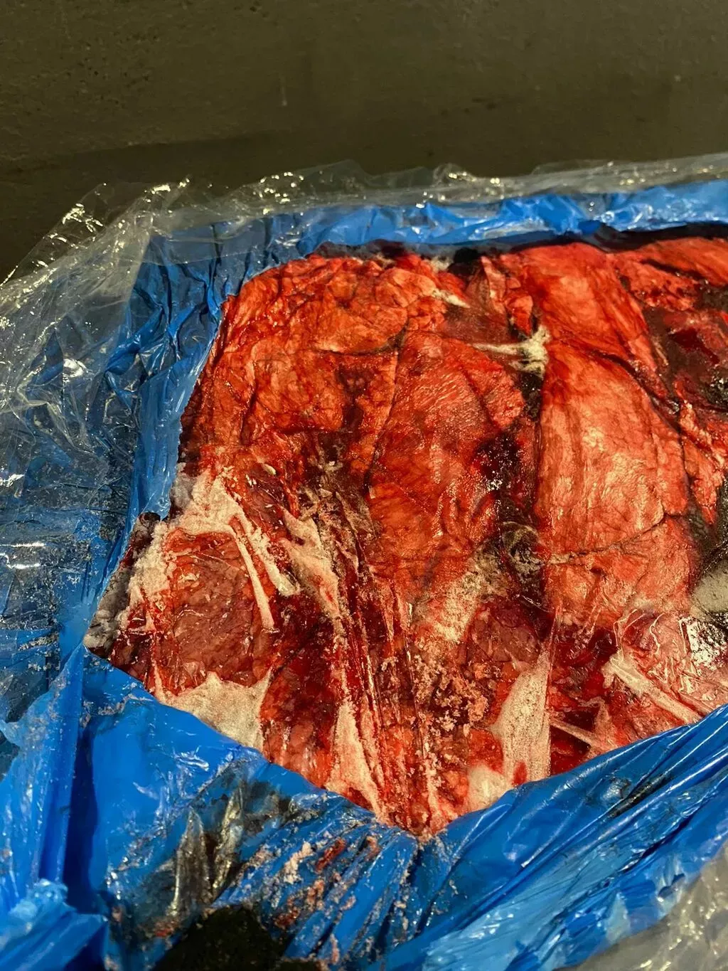 Фотография продукта Легкое св