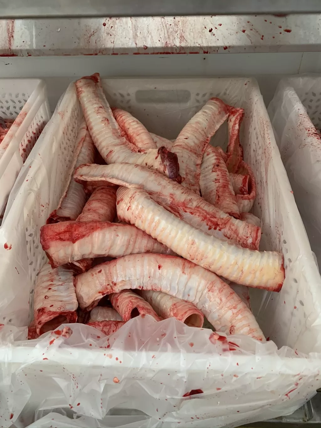 Фотография продукта Трахея говяжья