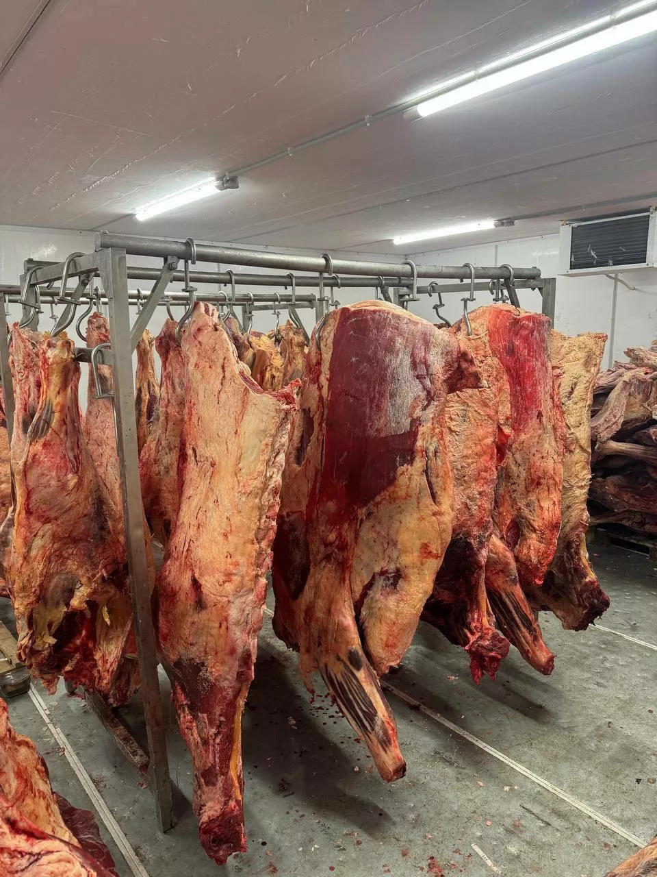 фотография продукта Говядина полутуша