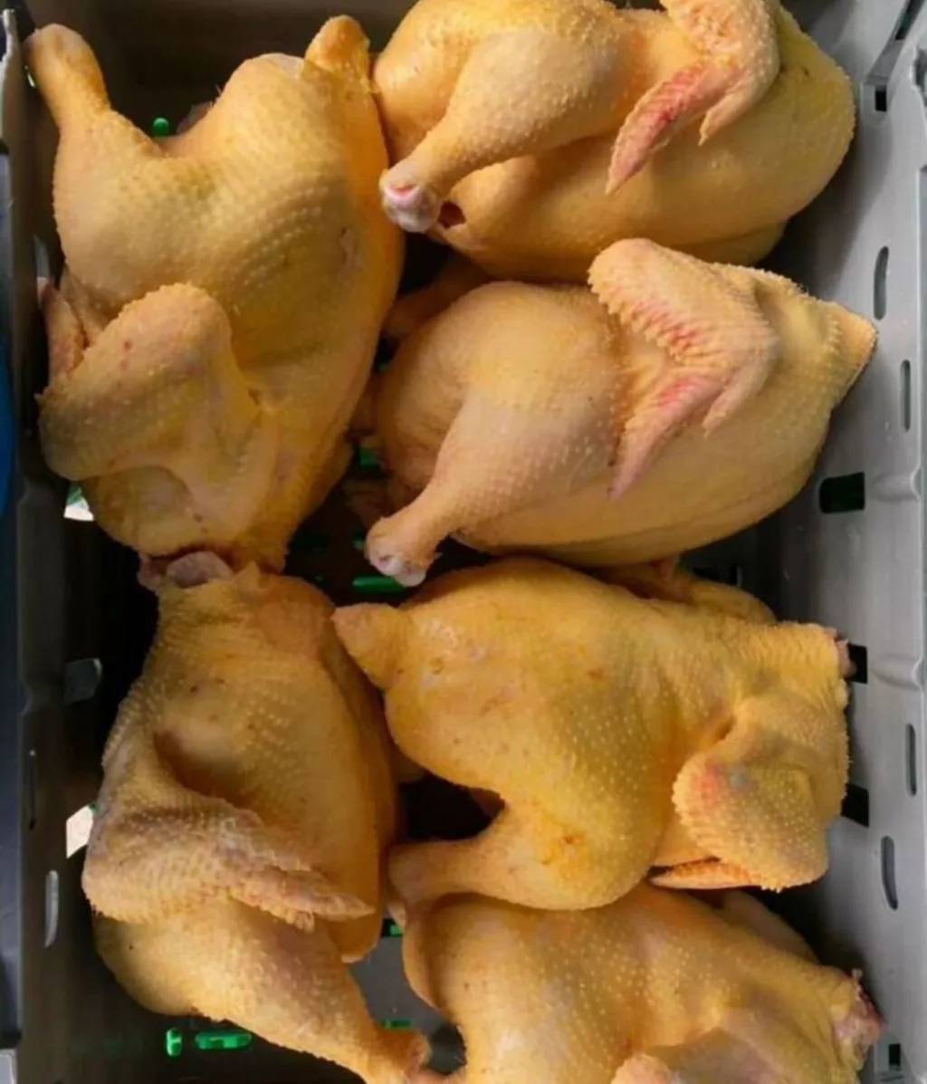 Фотография продукта Тушка бройлера фермерского дагестанского