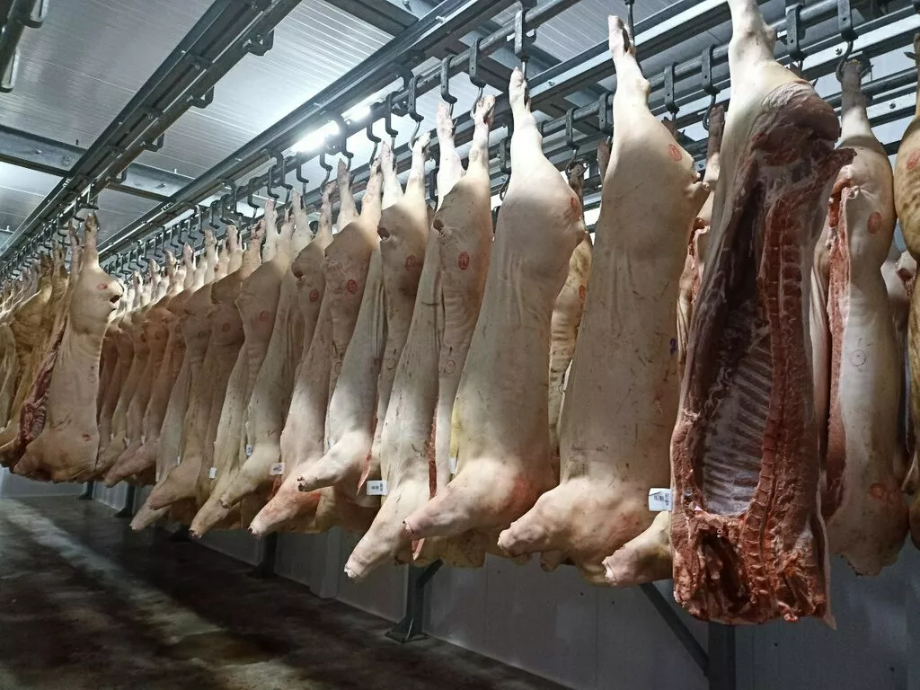 Фотография продукта Свинина охлаждённая в тушах