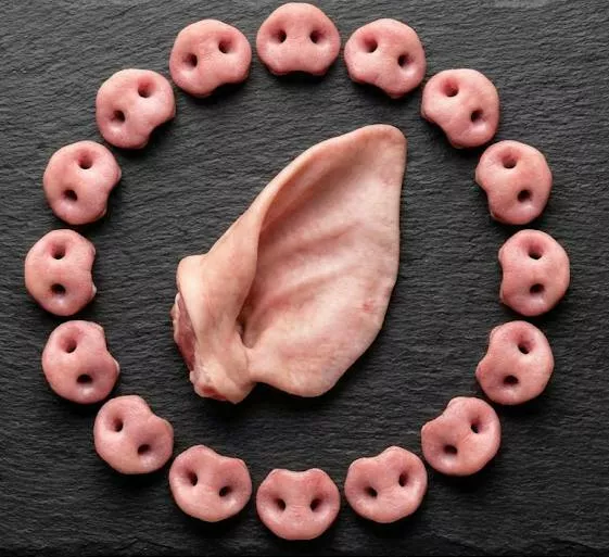 фотография продукта Свиные пятаки и уши в объемах 