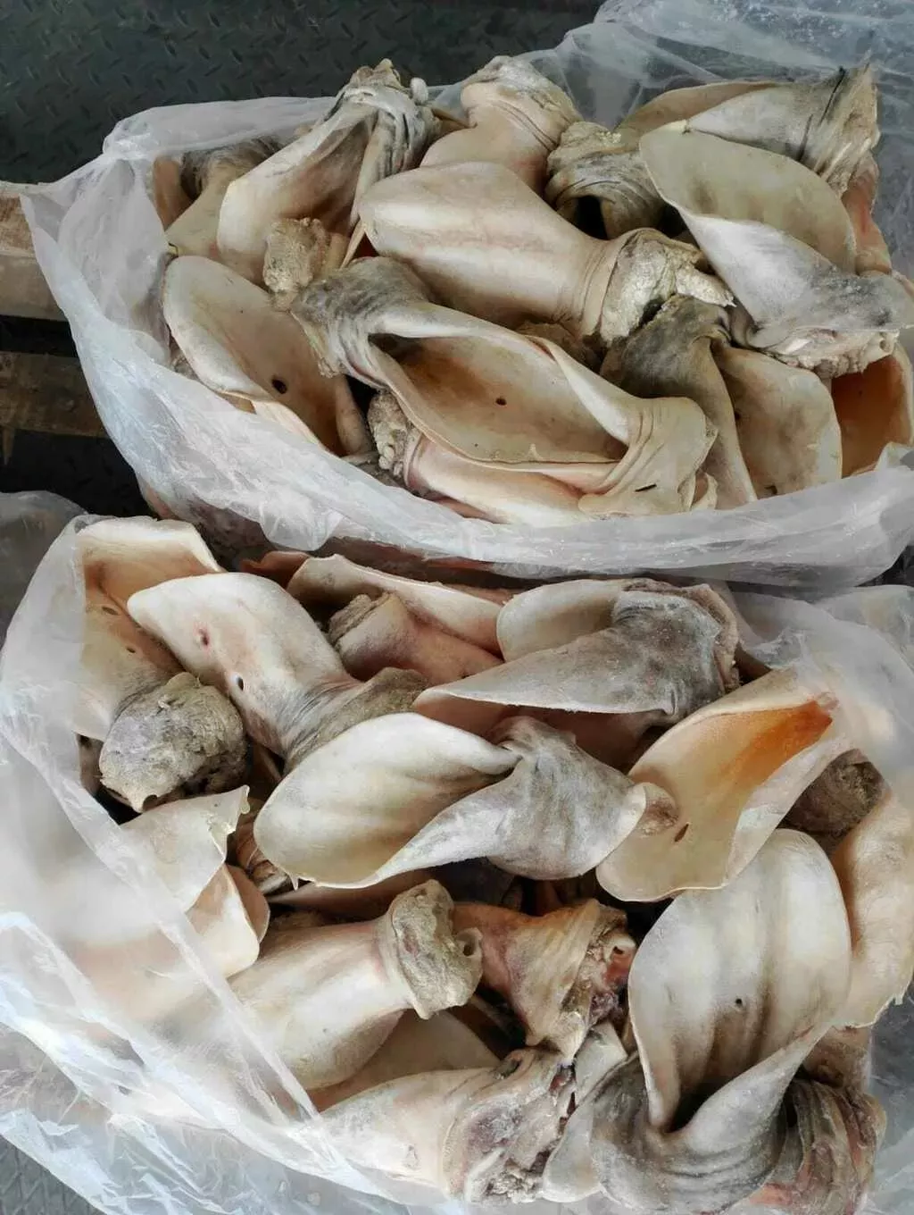 фотография продукта Уши говяжьи очищенные