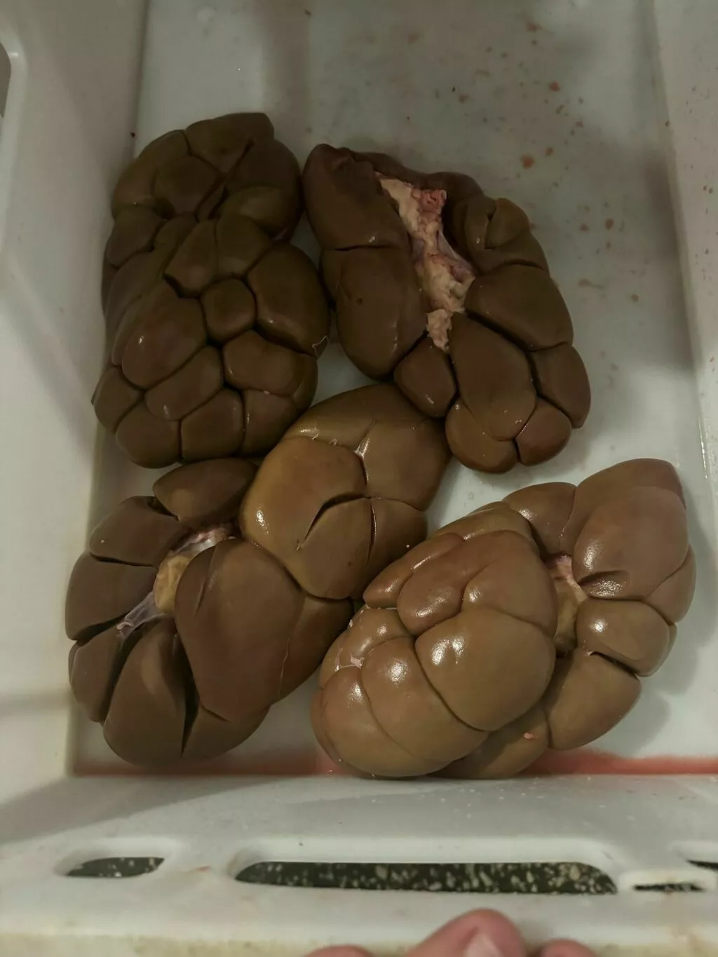 фотография продукта Говяжьи почки 