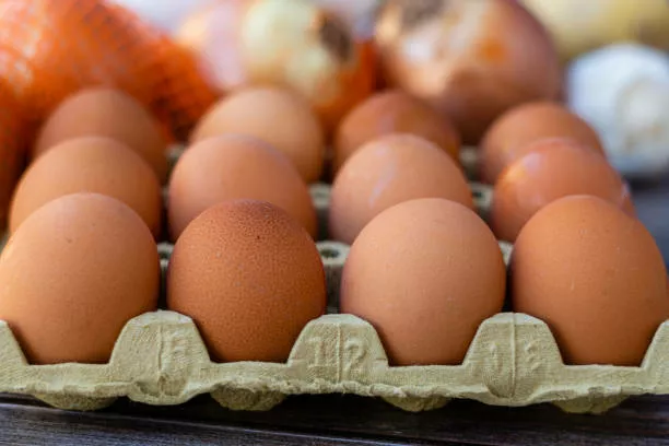 фотография продукта Закупка яиц оптом 