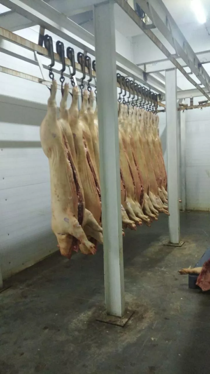 фотография продукта Свинина в полутушах паленка ГОСТ россия