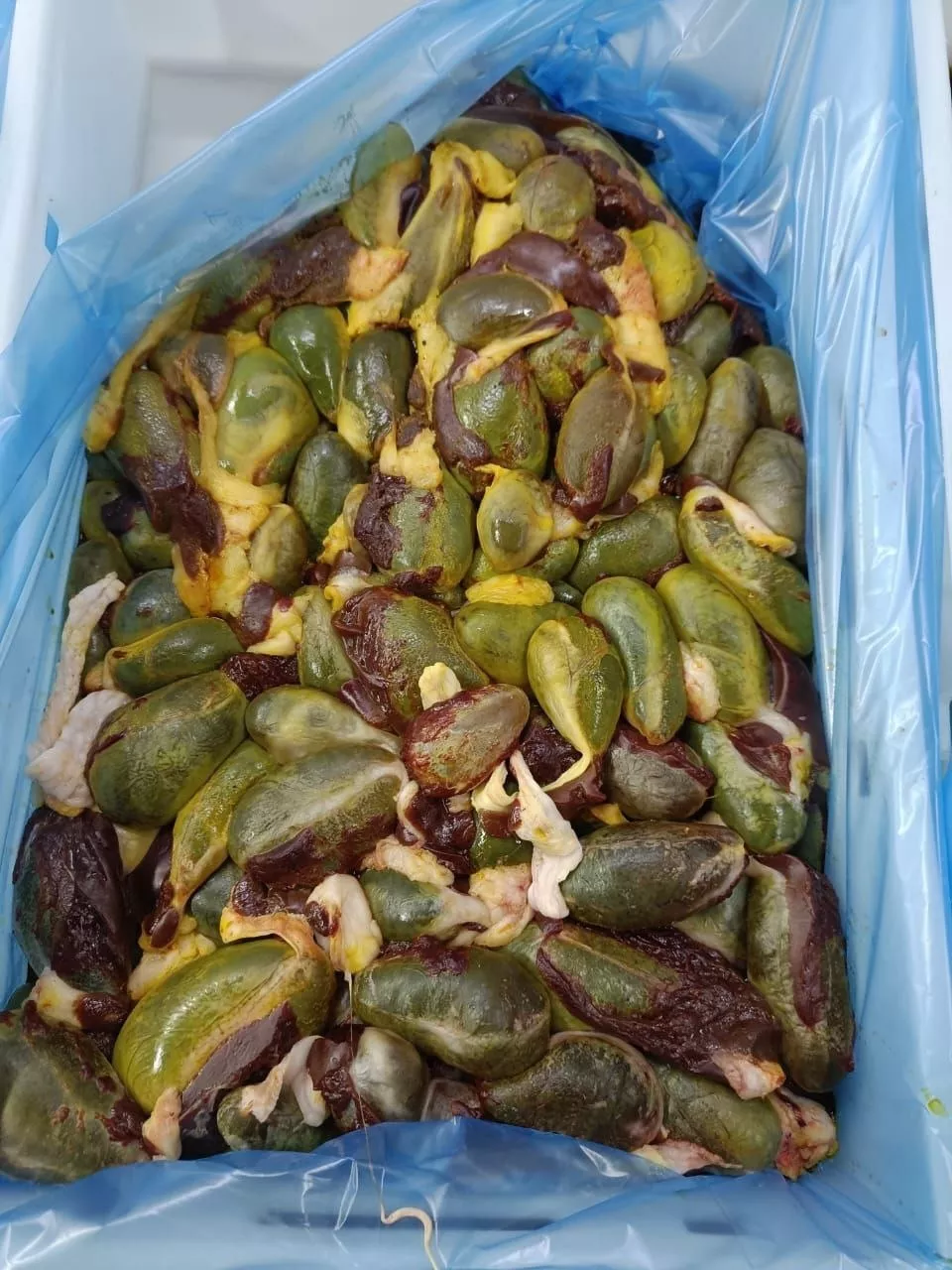 фотография продукта Желчь свиную