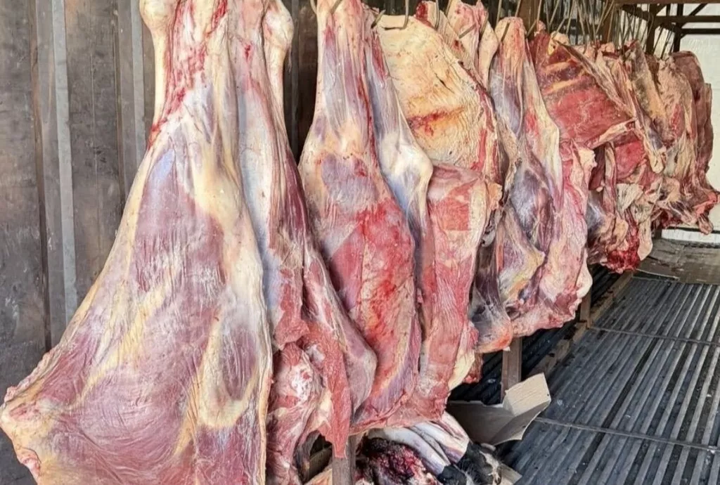 Фотография продукта Говядина охлажденная и замороженная