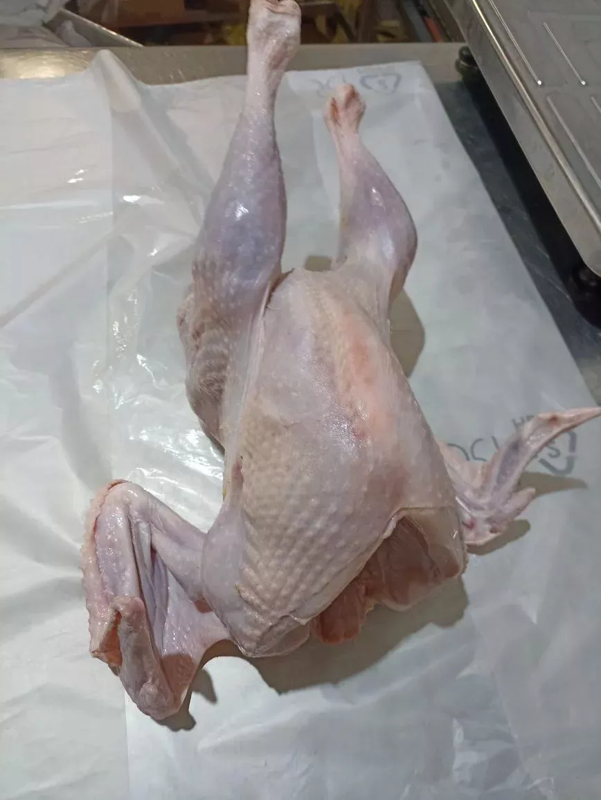 Фотография продукта Тушка индейки