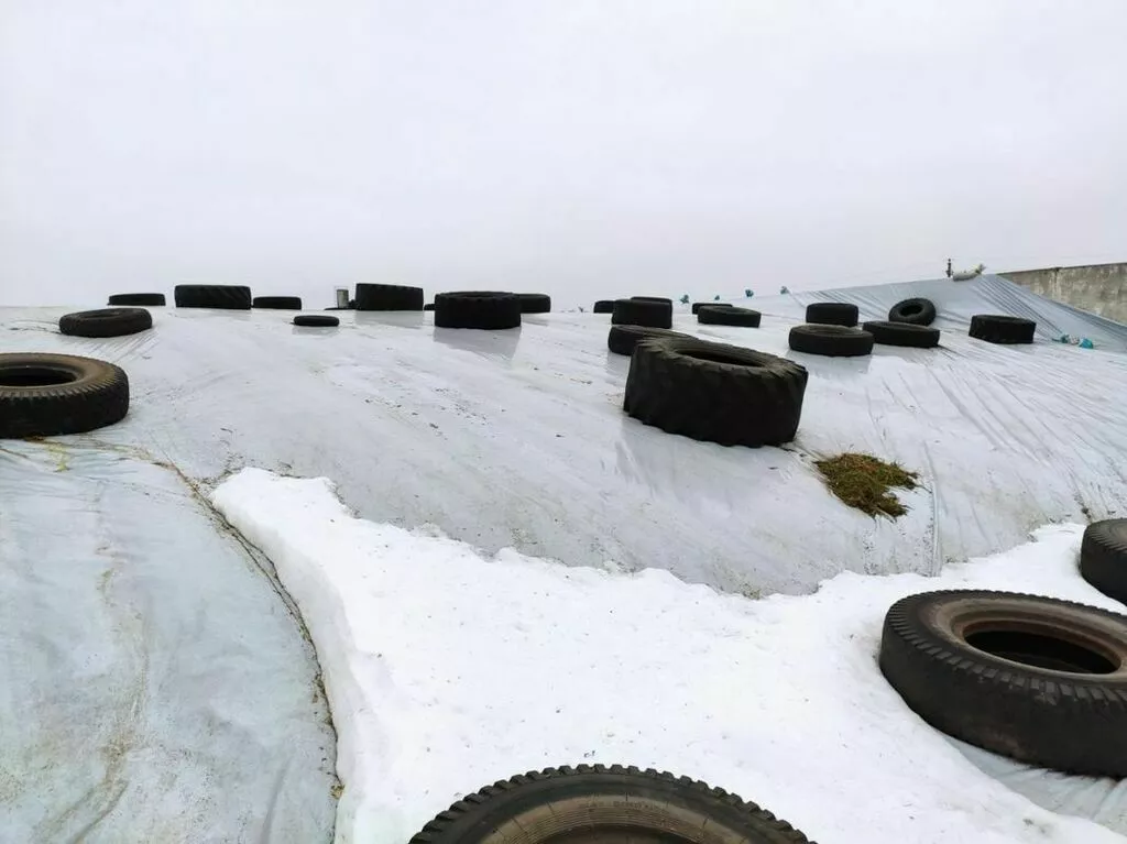 фотография продукта Пленка силосная (сенажная) 12м - 26м